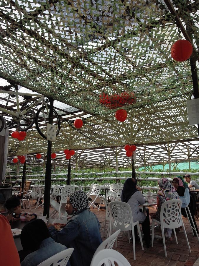 Azizi&Yati Muslim Homestay Cameron Highlands Exterior photo